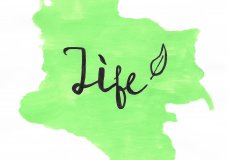 Colombia Full Of Life