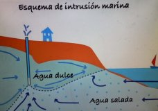 La salinización