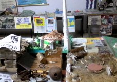 Conocimiento ambiental