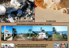 Protección de las Arenas de las playas