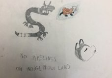No Pipelines on Indigenous Land
