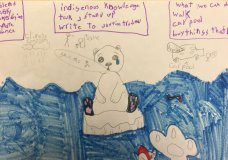 Save the Bears