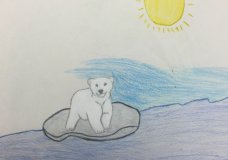 Lonely Polar Bear