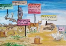 Animals In Plea