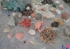 The Model: The seabed ...