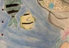 Just keep swimming