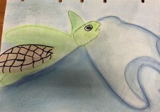 Struggling sea turtle