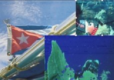 Protection of the seabed