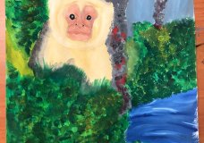 Looking into nature’s eyes
