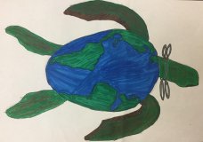 The Earth Turtle