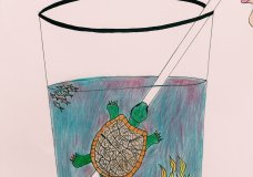 Plastic Impact
