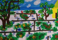 Drip irrigation saves water