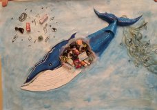 Blue whale, Warm climate