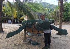 Recycled Art: Sea turtle puppet made from recycled waste