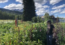 Intergenerational Growing