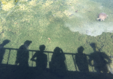Floating Above Circumstances