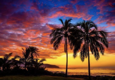 Perfect Sunset in Quarantine