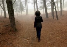 Fog