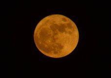MOON LIGHT