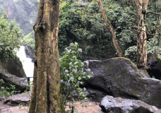 NATURE IS PERFECT, LET´S BALANCE OUR LIVES