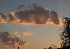 Sunset in Quarantine