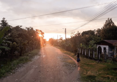 El Camino de la Vida