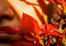La calidez de una mirada