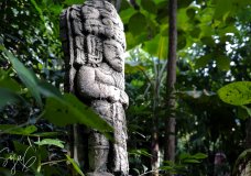 Cuarentena con los Mayas