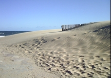 Sand & Sea