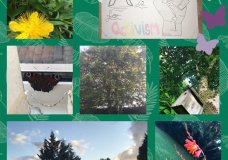 There is beauty in every day. BE INSPIRED!