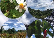 Nature deserves nuture