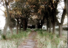 Road