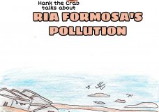 Hank the Crab talks about Ria Formosa's Pollution