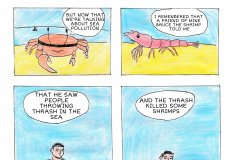 Hank the Crab talks about Ria Formosa's Pollution