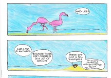 Hank the Crab talks about Ria Formosa's Pollution