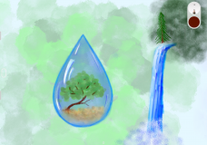 Water, our lifeline