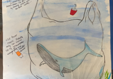 Save our seas