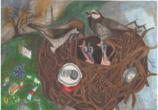 Sad birds still sing.