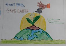 Plant trees