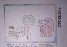 Animal/Species Lost