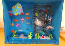 Sea Life