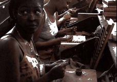 Working with Tobacco