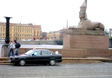 Sphynx Spb