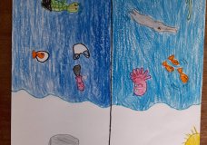 Ocean Pollution
