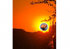 The sunset, the art and the dream, the drought will never win!