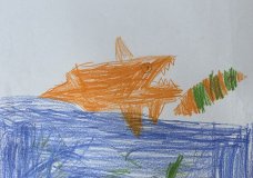 Protect our Oceans