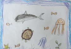 Why I Protect the Oceans