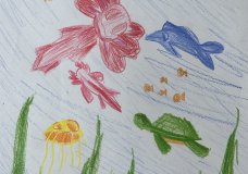 Ocean Biodiversity