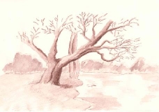 Brown Tree