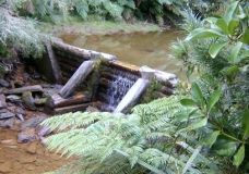 Parque Oncol